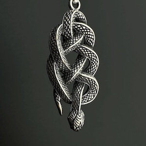May include: A silver pendant necklace with a detailed snake design. The snake is intricately coiled and knotted, with a textured surface and a snake head at the bottom. The pendant hangs from a delicate silver chain.
