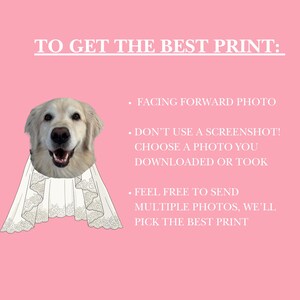 May include: A pink graphic featuring a golden retriever head wearing a white lace veil illustration. Text reads: TO GET THE BEST PRINT: FACING FORWARD PHOTO, DON'T USE A SCREENSHOT! CHOOSE A PHOTO YOU DOWNLOADED OR TOOK, FEEL FREE TO SEND MULTIPLE PHOTOS, WE'LL PICK THE BEST PRINT.