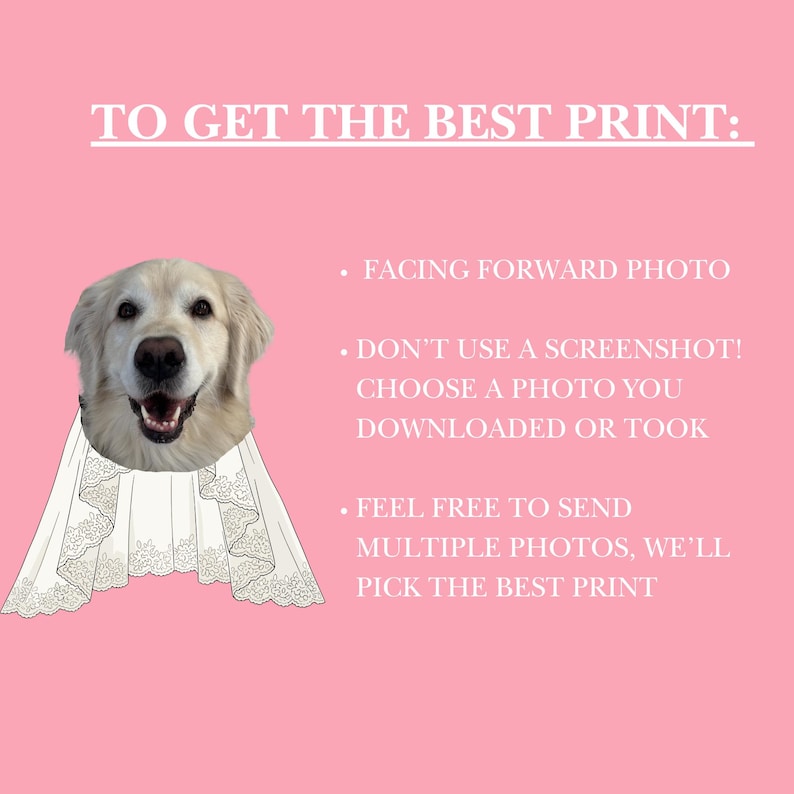 May include: A pink graphic featuring a golden retriever head wearing a white lace veil illustration. Text reads: TO GET THE BEST PRINT: FACING FORWARD PHOTO, DON'T USE A SCREENSHOT! CHOOSE A PHOTO YOU DOWNLOADED OR TOOK, FEEL FREE TO SEND MULTIPLE PHOTOS, WE'LL PICK THE BEST PRINT.