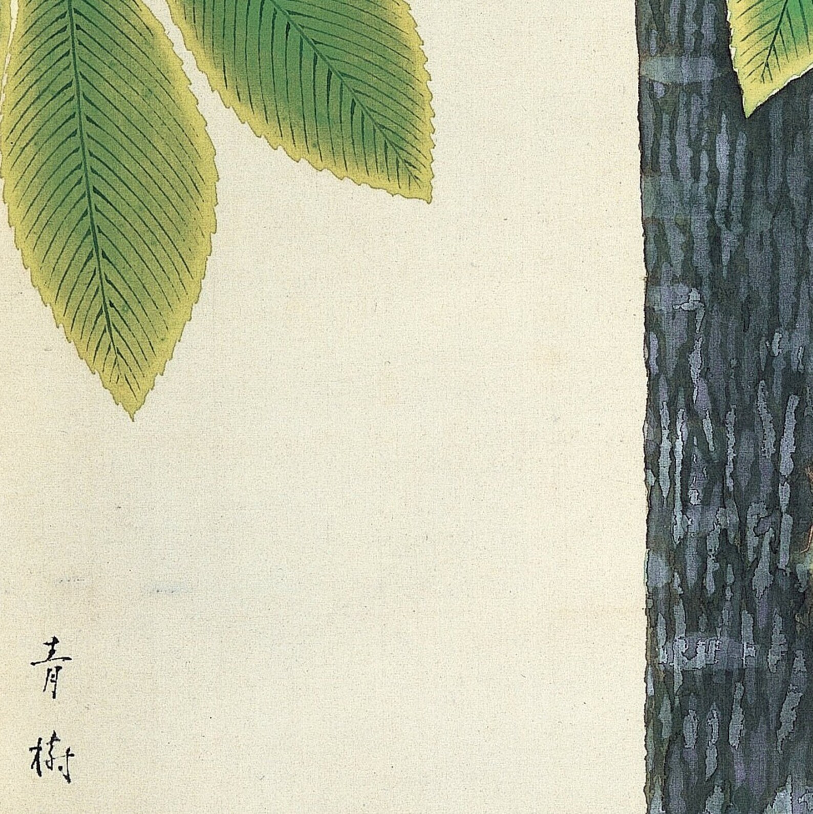 Image showcasing Japanese Minimalist Wall Art - Plants Japanese Art Print - Minimalist ...