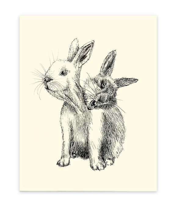 Two Headed Rabbit Pen and Ink Drawing Oddity Drawing Original Etsy