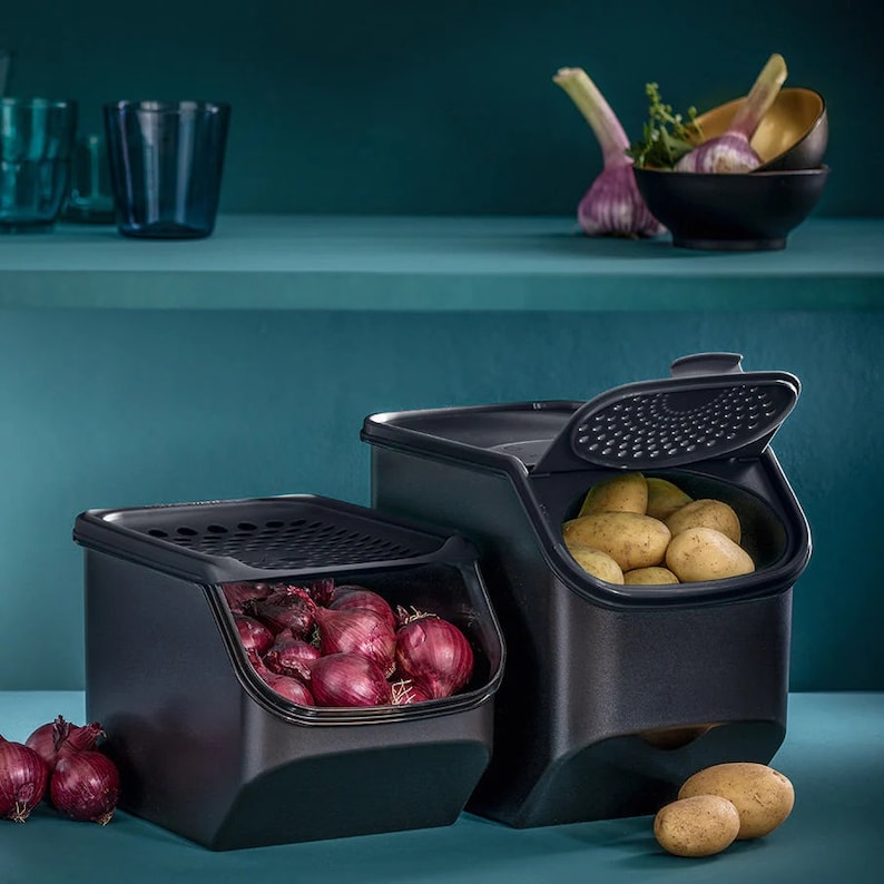 Limited Time Special Tupperware Onion & Garlic Smart Container Etsy