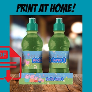 Digital Custom Peppa Fruit Shoot Labels, Juice Labels, Water Labels, Peppa Party Theme, Peppa Party, Digital Download
