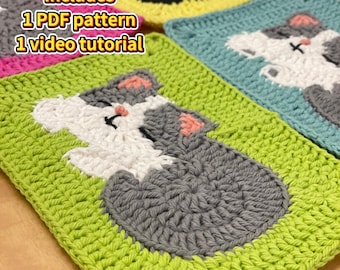 Crochet Cat Granny squares pattern 1 PDF pattern/1 video tutorial