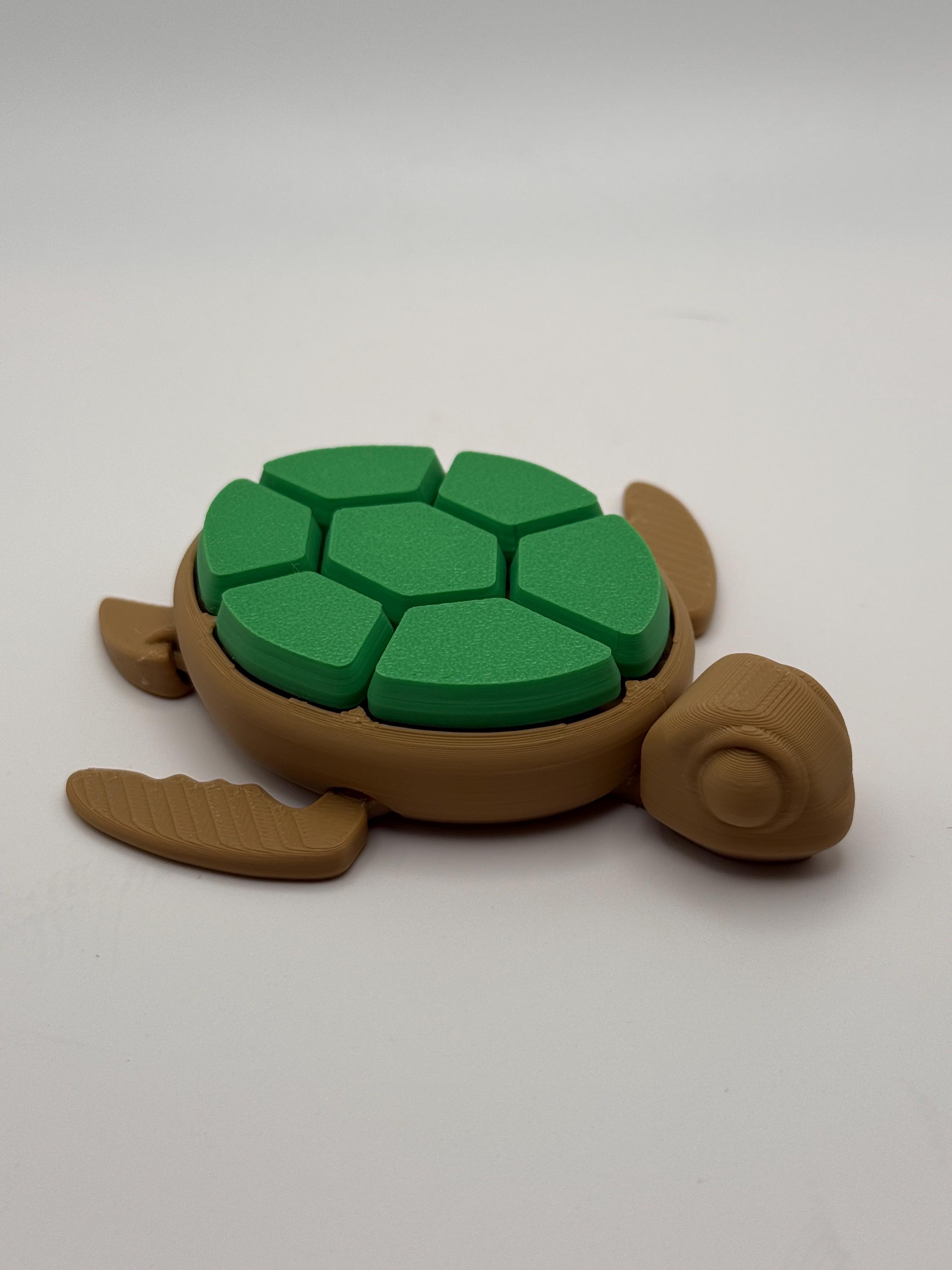 Turtle Clicky Fidget Toy - ASMR, Sensory, ADHD, Autism & Anxiety Relief ...