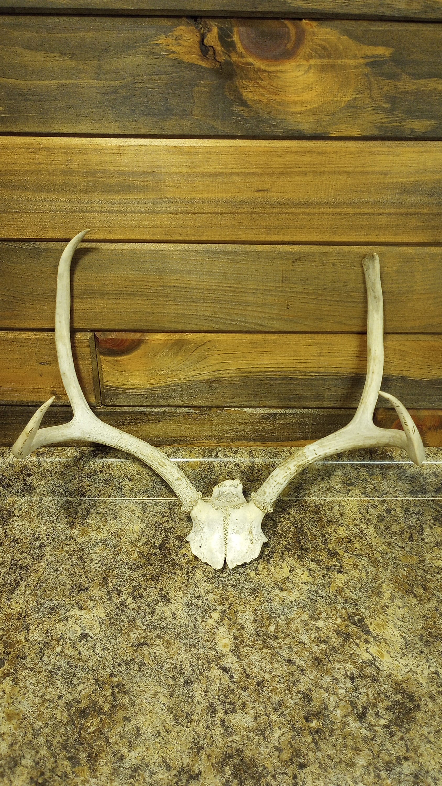Deer Shed Rack - Etsy