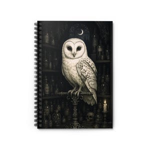 Enchanting Owl Spiral Notebook