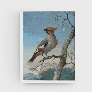 May include: A painting of a Bohemian Waxwing perched on a branch with a blue and white background.