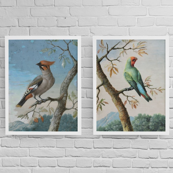 Set of 2 Vintage Bird Series Watercolour Wall Art Print | Antique Wall Art | Watercolour Painting Instant Download | Vintage Printable Art