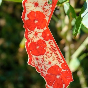 California Christmas ornament. Poppy California Holiday Gift. Christmas California. Christmas gift. CA Christmas gift.