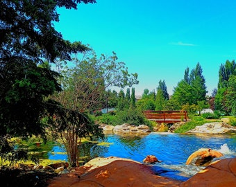 May include: A scenic outdoor landscape featuring a pond with a small waterfall, surrounded by lush green trees and vegetation. A wooden bridge spans the water, under a clear, bright blue sky.