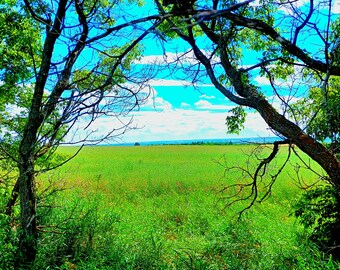 Sky, Land, Open Space, Landscape, Scenery