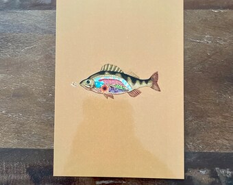 fish