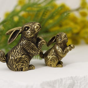 Puede incluir: Dos figuras de conejo de color bronce. Los conejos est&aacute;n representados en una pose juguetona, con las patas delanteras levantadas. Las figuras tienen patrones de pelaje detallados y est&aacute;n colocadas sobre un fondo de flores amarillas y hojas verdes.