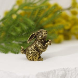Puede incluir: Peque&ntilde;a figura de conejo de lat&oacute;n detallada con las patas delanteras levantadas. El conejo tiene orejas largas y una superficie texturizada. El fondo presenta follaje verde y flores amarillas, sobre una superficie blanca.