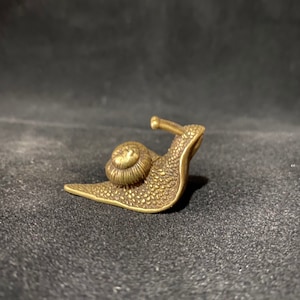Könnte beinhalten: Eine kleine, goldfarbene Schneckenfigur aus Metall. Die Schnecke befindet sich in einer kriechenden Position mit ihrem Gehäuse auf dem Rücken.