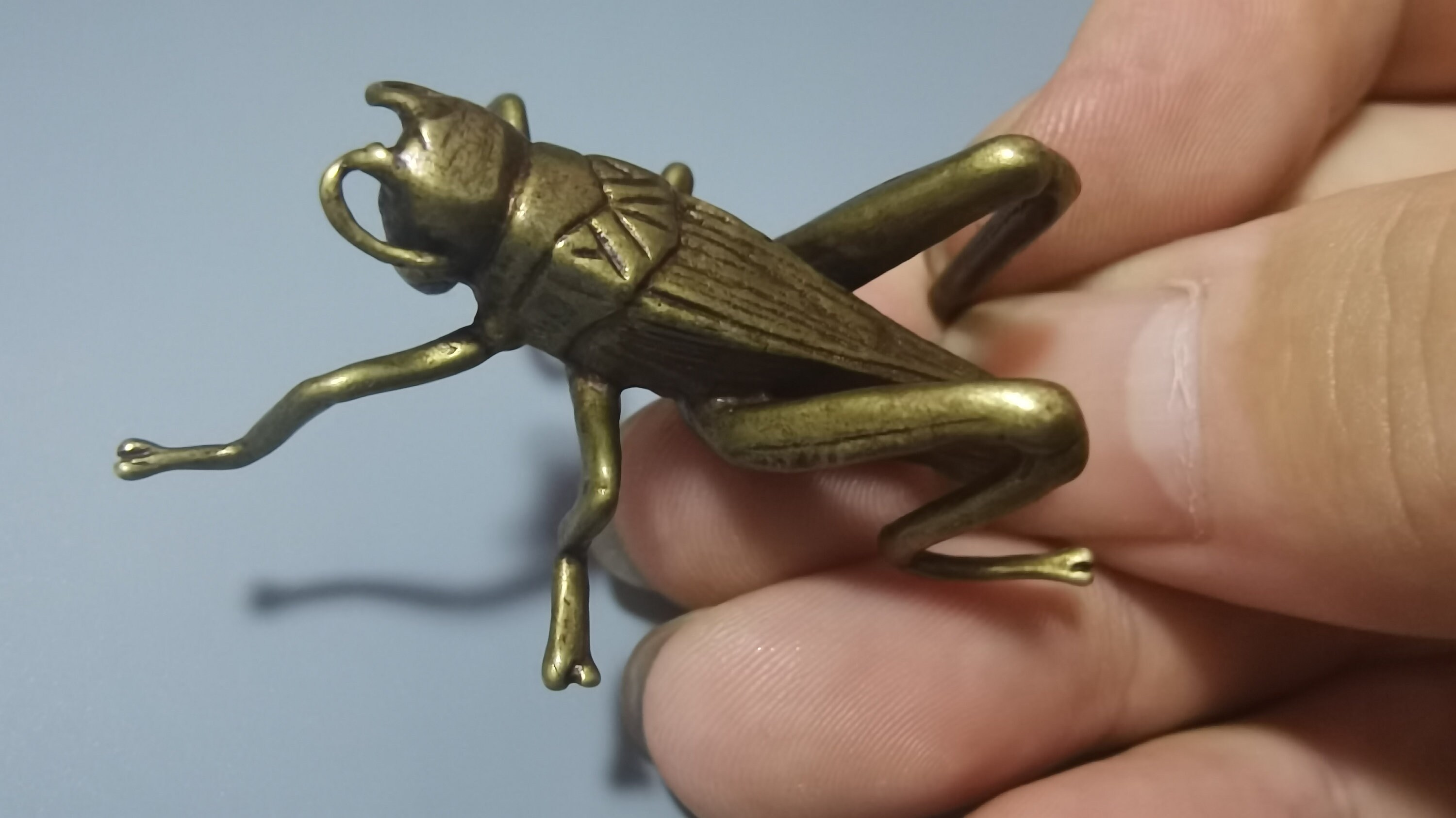 Chinese Golden Cicada Sculpture, Collection of Antiques, Brass Cicada ...