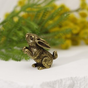 Puede incluir: Una detallada figura de conejo de bronce, posando de pie con las patas delanteras levantadas. El conejito tiene pelaje texturizado y orejas largas. El fondo presenta follaje verde y flores amarillas. La figura est&aacute; sobre una superficie blanca.