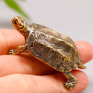 May include: A small, detailed brass turtle figurine. The turtle has a textured shell with a geometric pattern and is posed with its head and legs extended. The brass has a warm, antique finish.