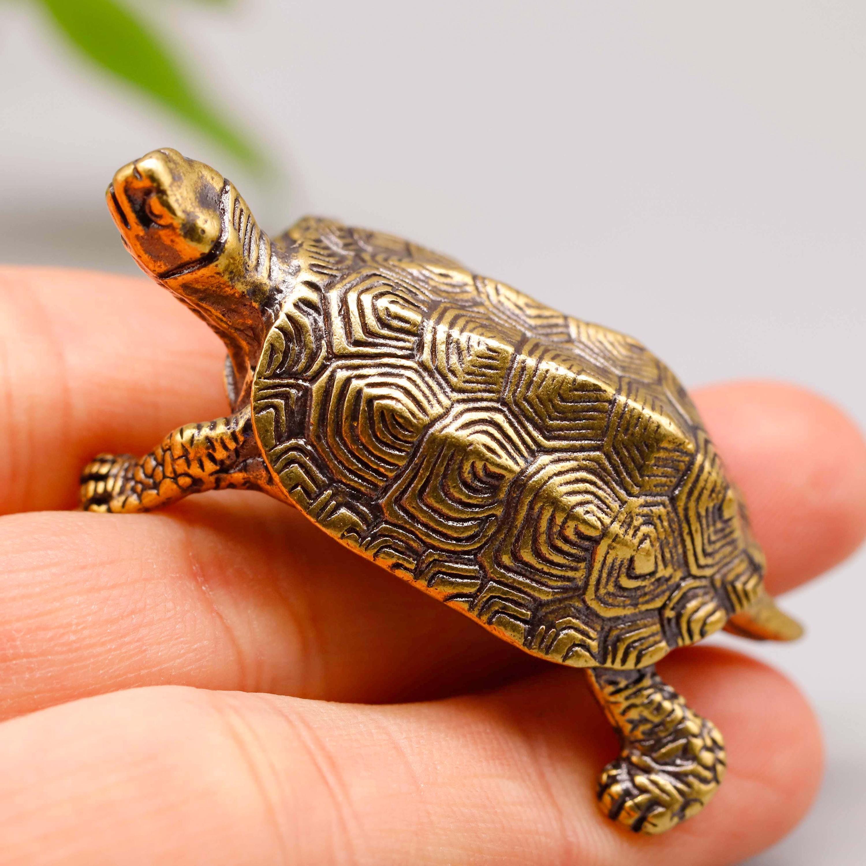 Turtle Paperweight - Etsy