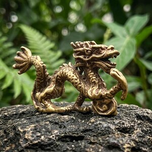 Puede incluir: Una peque&ntilde;a y detallada figura de lat&oacute;n de un drag&oacute;n en una pose din&aacute;mica y enroscada. La escultura met&aacute;lica presenta escamas intrincadas, una cabeza con cuernos y una cola extendida, con un acabado dorado pulido y &aacute;reas oscuras profundas.