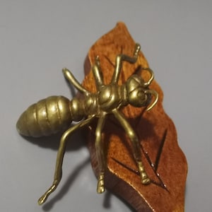 May include: A gold-colored metal ant figurine perched on a carved wooden leaf. The ant is detailed with segmented body parts and delicate legs.