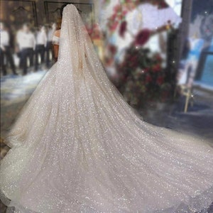 2 Tier Luxury Bridal Veils/ Double Tier Gitter Wedding Veil/ Sparkle ...