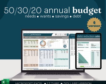 Hoja de cálculo de presupuesto 50/30/20 / Hojas de cálculo de Excel y Google / Planificador financiero 2026 / Plantilla de presupuesto mensual