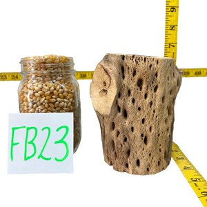 Op de afbeelding: Een glazen pot gevuld met gele en witte maïskorrels, een stuk wit papier met de tekst "FB23" geschreven in groene stift, en een lichtbruine, poreuze houten stam met een ruwe textuur.