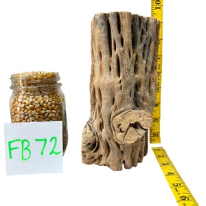 7 1/2" Teddy Bear Cholla Wood Choya- Rare XL Diameter- Aquarium, Terrarium Natural Desert Driftwood - Indoor/Outdoor Home Decor - Bioactive