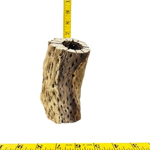 May include: A light brown, porous, branch-like piece of driftwood with a hole in the center. The driftwood is approximately 7 inches tall and is measured with a yellow tape measure.