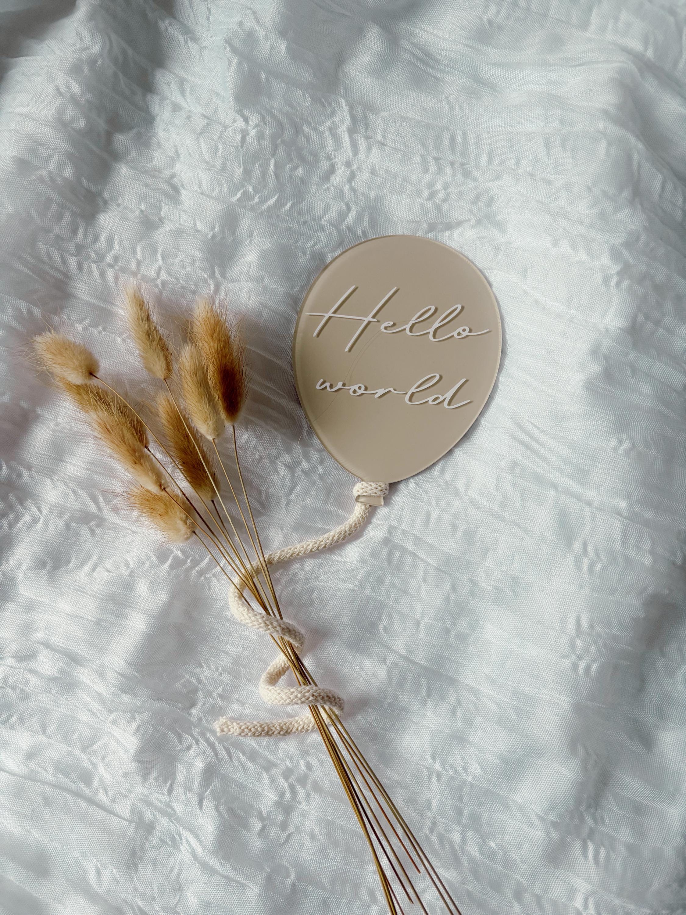 Hello World Baby Balloon Disc | Acrylic | Photo Prop | Birth ...