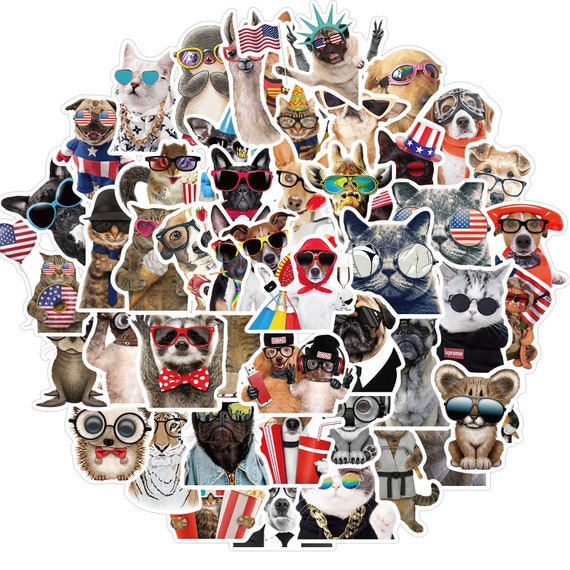 Funny Animals With Glasses And Sayings