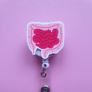 Bobine d'insigne d'intestins, cadeau de docteur, porte-carte de gastro-entérologue, clip d'identification d'intestins, clip d'insigne médical, insigne d'infirmière, porte-cartes, tour de cou