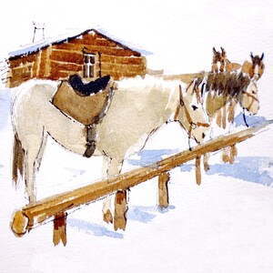 MONTAGNE Chevaux au repos - CC141
