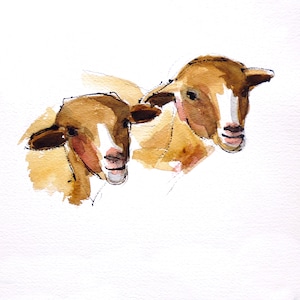 MONTAGNE Les Moutons - CC137