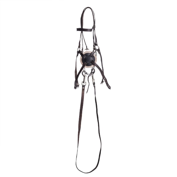 Mexican bridle for PRO hobby horses | Stick horse