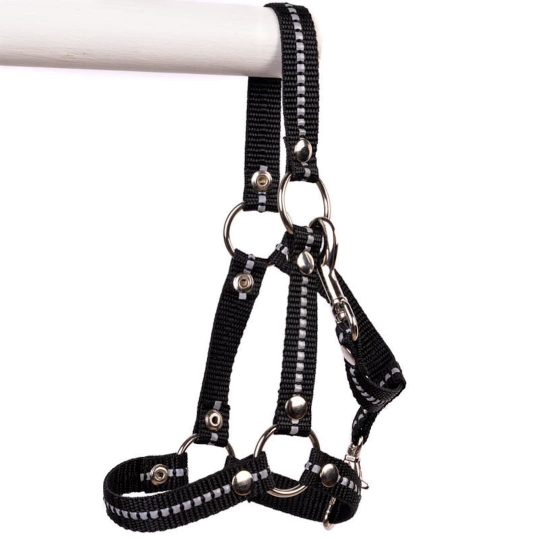 Halter for PRO Hobby Horses Stick Horse Etsy