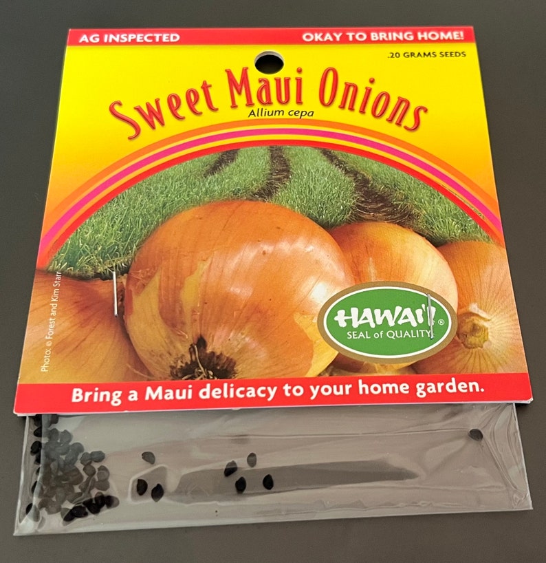 Sweet Maui Onion Seeds .20 grams seeds image 1
