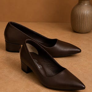 Peut inclure: Une paire d'escarpins en cuir marron fonc&eacute; avec un bout pointu et un petit talon carr&eacute;. Les chaussures sont pr&eacute;sent&eacute;es sur une surface marron clair, avec un vase de fleurs s&eacute;ch&eacute;es en arri&egrave;re-plan. Les talons mesurent environ 5 cm.