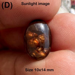May include: A polished, oval-shaped gemstone with a rich, brown and orange internal pattern. The stone is approximately 0.4 x 0.6 inches in size. The image is labeled "Sunlight image" and "Size 10x14 mm".