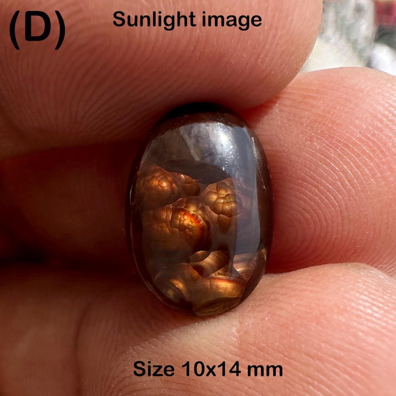 May include: A polished, oval-shaped gemstone with a rich, brown and orange internal pattern. The stone is approximately 0.4 x 0.6 inches in size. The image is labeled "Sunlight image" and "Size 10x14 mm".