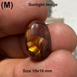 May include: An oval-shaped gemstone with a brown and gold color scheme. The stone has a polished surface and measures 10x16 mm. The text "Sunlight image" is visible at the top, and "Size 10x16 mm" is at the bottom.