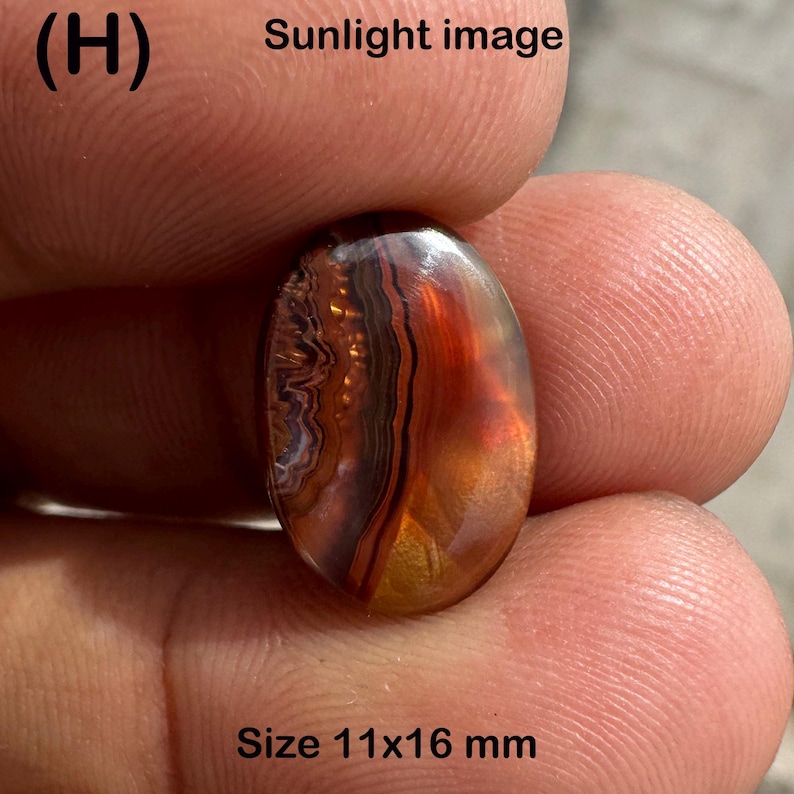 May include: An oval-shaped gemstone with a polished surface. The stone features bands of brown, orange, and red hues. The text "Sunlight image" and "Size 11x16 mm" are visible. The gemstone is held between fingers.