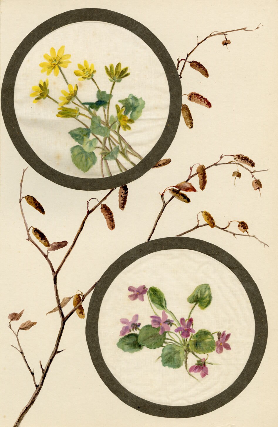 セイヨウクサノオウとイヌスミレの花 – 20 世紀初頭のリネンガーゼに