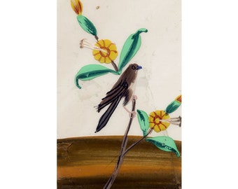 Company School 19th-century Indian Mica Painting in Gouache – Cuckoo Bird