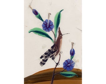 Company School 19th-century Indian Mica Painting in Gouache – Hoopoes Bird