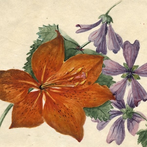 May include: A watercolor painting of a single orange lily with five petals and a purple flower with five petals. The flowers are painted on a cream-colored background.