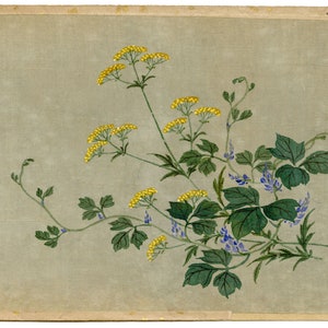 Japanese Yellow Ominaeshi Flower Meiji period late C19th painting on silk image 1