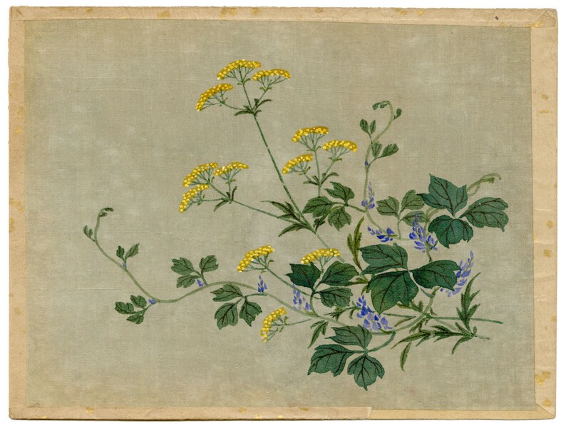 Japanese Yellow Ominaeshi Flower Meiji period late C19th painting on silk image 1